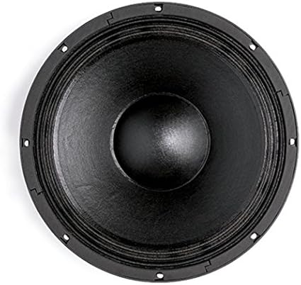 b&c 12 inch speakers