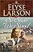 So Shall We Stand (WOMEN OF VALOR) (Book 2) by Elyse Larson
