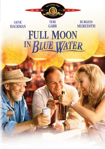 Download Full Moon in Blue Water