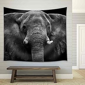 Elephant - Fabric Wall Tapestry Home Decor - 51x60 inches