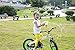 RoyalBaby Boys Girls Kids Bike 18 Inch Matte Button Bicycles with Kickstand Child Bicycle Pink