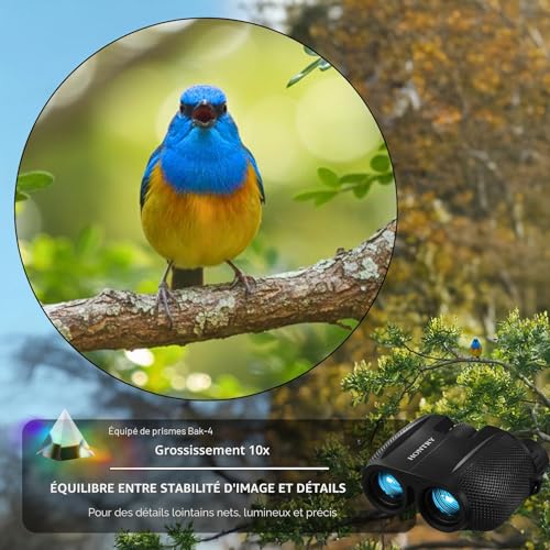 Hontry Binoculars for Adults and Children, Compact Binoculars 10x25 for Bird Watching, Theater and Concerts, Hunting and Sports Games
