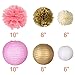 PAXCOO Pink and Gold Tissue Pom Poms Lanterns and Party Balloons for Baby Shower Party Decorations