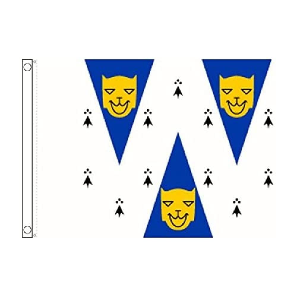 AZ FLAG - Shropshire Old County Flag - 3x5 Ft - 100D Polyester County Of Salop - England Banner with Two Metal Grommets - Fade Resistant - Vivid Colors - 3' x 5' Feet - 150x90 Cm