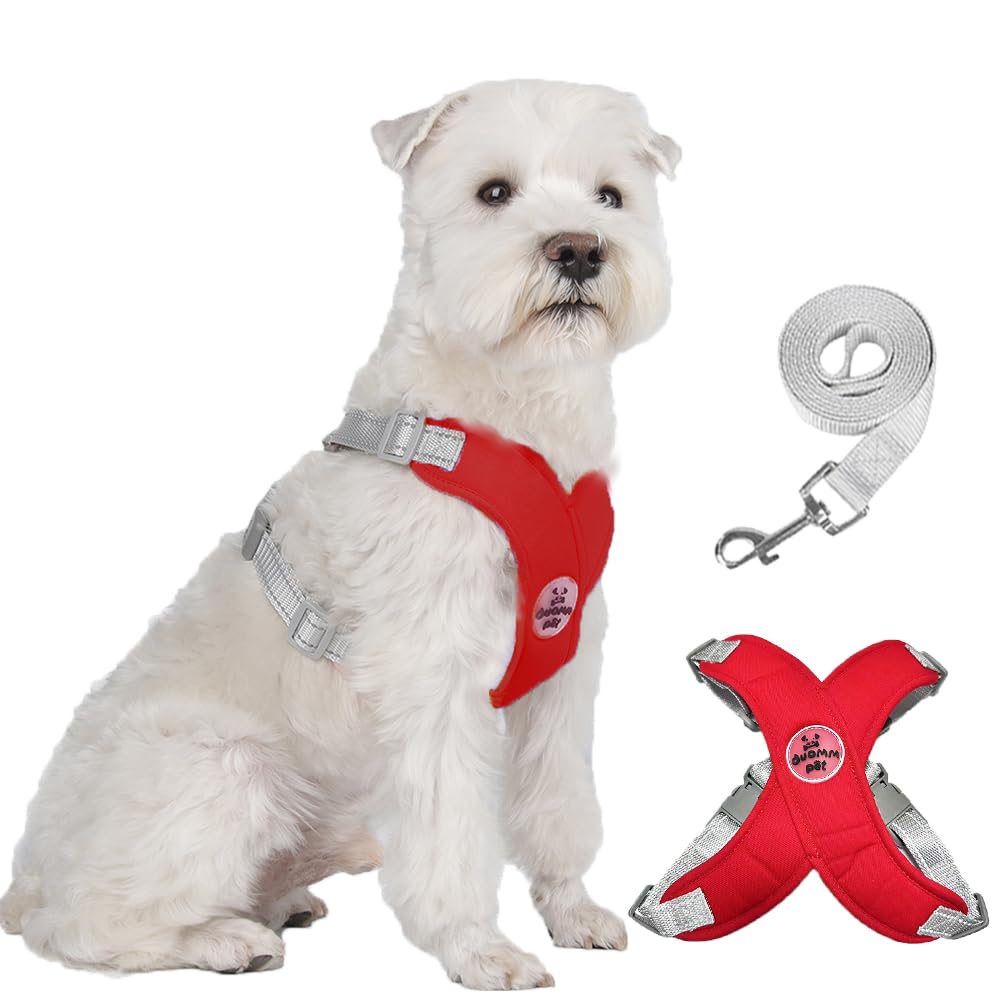 FEimaX No Pull Dog Harness and Lead Set for Small Medium Dogs Adjustable Step-in Pet Vest Harness Reflective Breathable Soft Mesh Padded Puppy Harnesses for Outdoor Walking Training — image 1