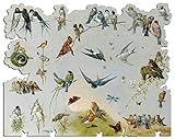 Artifact Puzzles - Giacomelli Birds Wooden Jigsaw Puzzle