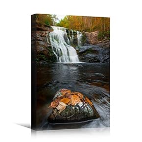 signwin Canvas Wall Art Lake Waterfall Landscape Multicolor...