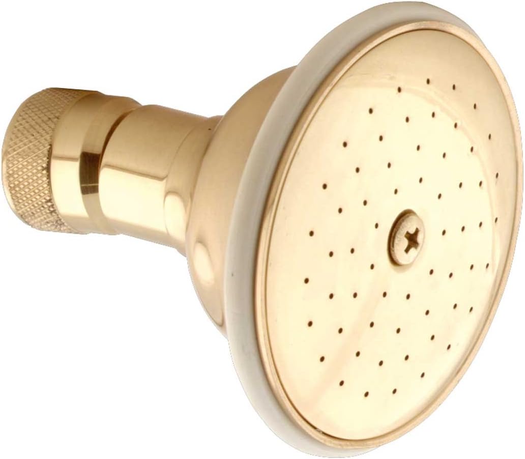 amazon brass shower head