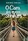 Livro O cara dos meus sonhos