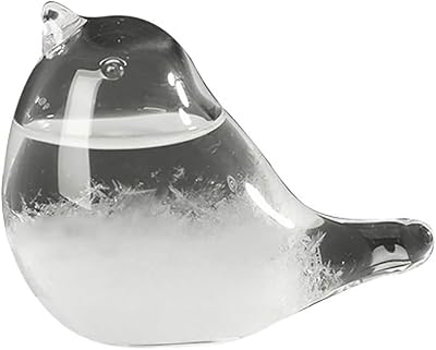 Fuoliystep Glass Storm Glass Weather Forecaster Barometer Predictor Office Home