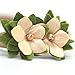 Baby Girl Nylon Headband/Floral Hair Band-Gentle Elastic Design Set of 3(Khaki)
