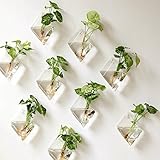 AWEVILIA Wall Hanging Plants Planter Terrariums Glass Diamond Shape Vase Creative Fashion Home Decor Wall Plants Set of Two