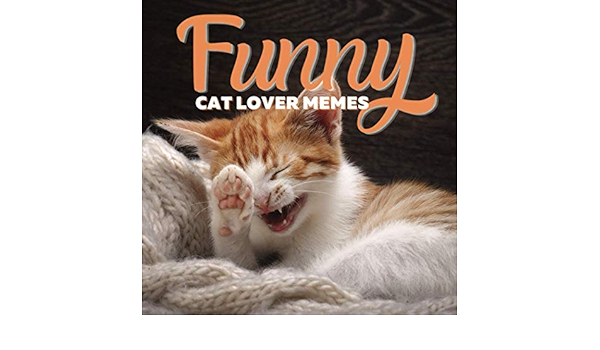 stocking stuffers for cat lovers
