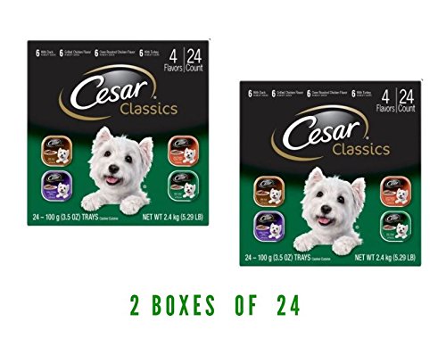 Poultry Flavored Adult Wet Food Trays by Cesar Classics