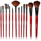SHANY Professional 12 - Piece Natural Goat and Badger Cosmetic Brush Set with Pouch - Red (Health and Beauty)