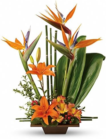 Jungle Essence Flower Arrangement Deluxe by Plaza Flowers - Mother's Day - Fresh Flowers Hand Delivered - Philadelphia Area