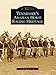 Tennessee's Arabian Horse Racing Heritage (Images of America) by Andra Kowalczyk
