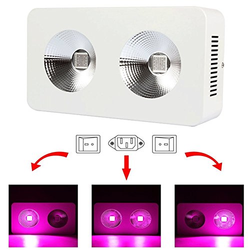 Morsen COB Full Spectrum 600W LED Grow Light for Veg and Flowering Greenhouse Growing Lamp Kit