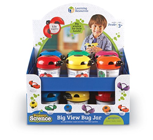 Learning Resources Big View Bug Jar Classpack of 12