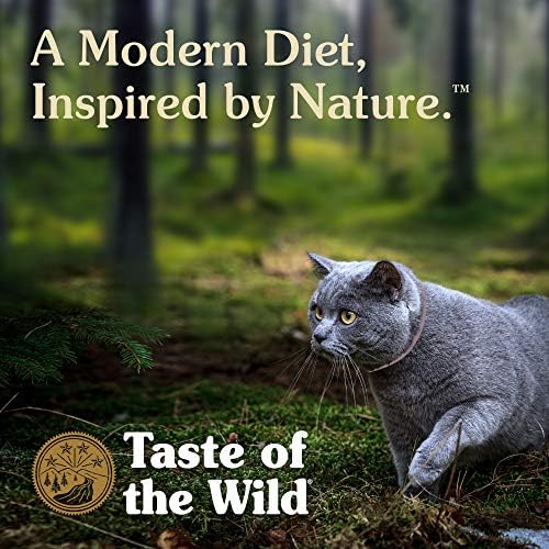 Taste Of The Wild Rocky Mountain Grain Free Recipe With Salmon And Roasted Venison In Gravy Wet Canned Cat Food Made With High Protein From Real Venison And Real Salmon 3oz Case Of 24 Canned Wet Pet Food Pet Supplies Amazon Com