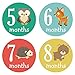 Pinkie Penguin Woodland Animals Baby Monthly Stickers - Milestone Onesie Stickers - Baby Boy - 1-12 Months - Baby Shower Gift