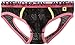 Andrew Christian Men's Air Jock Strap with Show It