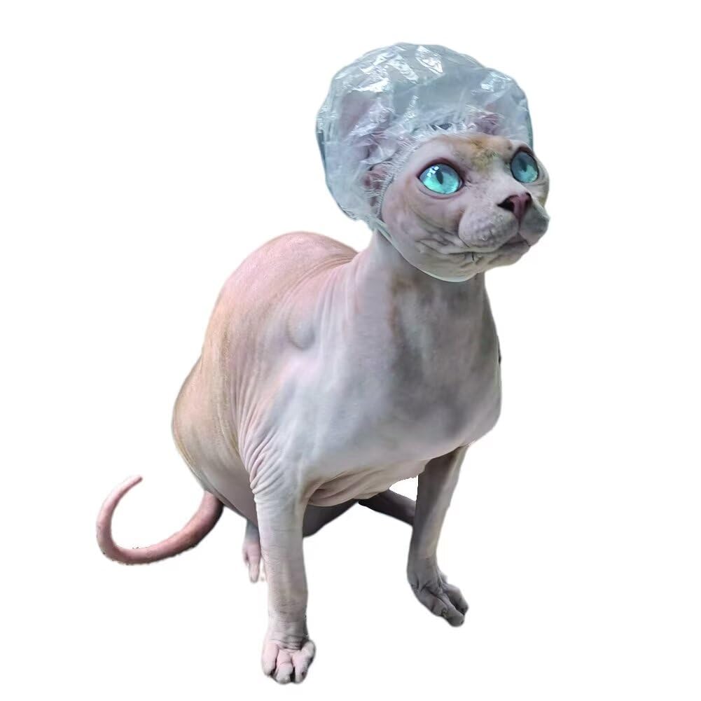 Sphynx Hairless Cat Shower Caps with Chin Elastic Kitten Cats & Small Dogs Small Pets 20pcs for Devon Rex Cat, Cornish Rex Cat Bambino Peterbald Cat and Elf