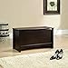 Sauder Shoal Creek Storage Chest, Toy Storage Chest for Living Room, Storage Trunk, in Jamocha Wood