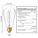 Edison Bulbs 60W Vintage Style Squirrel Cage Filament Incandescent Bulb E26 Base ST64 120V for Home Lighting Fixtures Lamp Lightbulbs Warm Light Dim 2700K 6PACK
