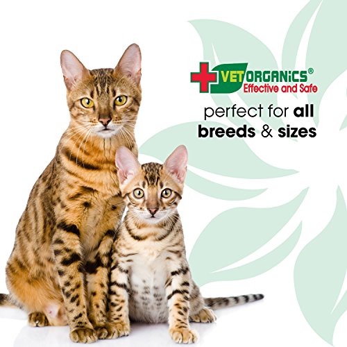 Vet Organics for Cats: EcoEars Cat Ear Cleaner Infection Formula. for Itch, Head Shaking, Discharge & Smell. Natural Multi Symptom Ear Cleaner Cleans Away Most Cat Ear Problems. 100%. 4oz. - Thumbnail 5