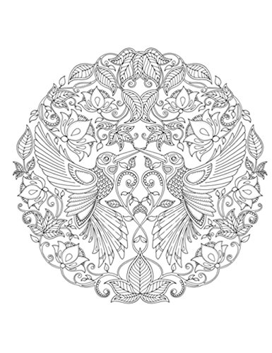 ひみつの花園 アーティスト エディション ジョハンナ バスフォード 本 通販 Amazon