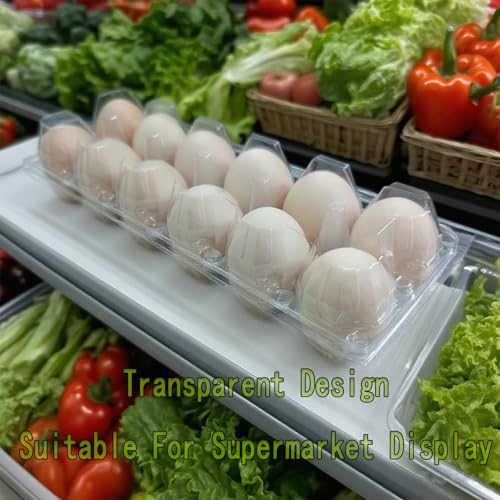 LSGENGXCY 100 piece Disposable Transparent Egg Cartons, 12 Plastic Egg Storage Containers, 2 Rows And 6 Columns of Empty Egg Cartons.2 * 6 (ZF-DH-2 * 6-100-1)