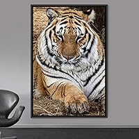 Framed Canvas Wall Art Tiger Animals Chic Dramatic Lion Living Room Multicolor Photography - 16x24 inches