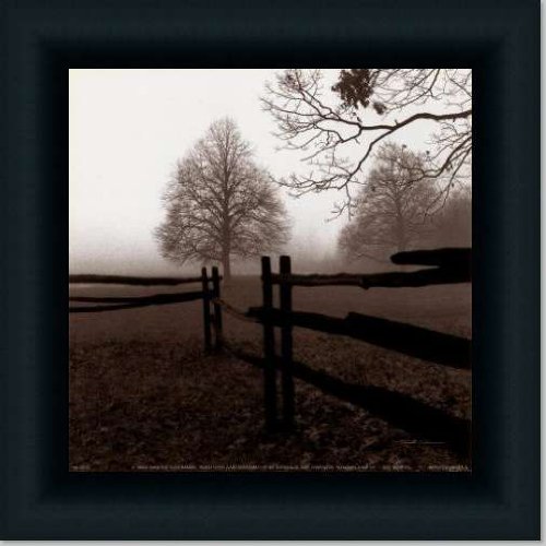 Fence In The Mist By Harold Silverman Art Print Poster Picture Framed Decor 10X10
