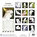 Cockatoos Calendar - Parrot Calendars - Bird Calendars - Calendars 2018 - 2019 Wall Calendars - Monthly Wall Calendar by Avonside
