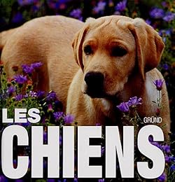 Les  chiens