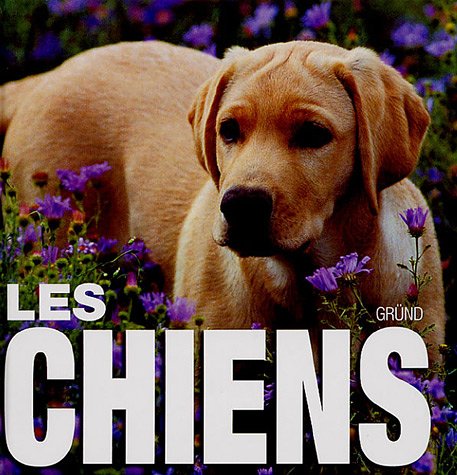 Les  chiens