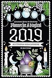 Coloring Book of Shadows: Southern Hemisphere Planner for a Magical 2019 by Amy Cesari