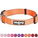 Blueberry Pet Essentials Florence Orange Adjustable Nylon Dog Collar for Medium Dogs, Classic Solid Color Pet Safety & Style for Medium Dogs