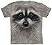 The Mountain Men's Raccoon Face