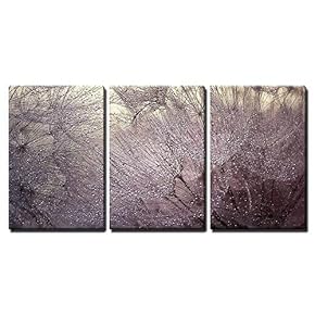 3 Piece Canvas Wall Art - Abstract Macro Photo with Water Drops. Dandelion Seed.Artistic Background for Desktop. - Modern Home Art Stretched and Framed Ready to Hang - 16"x24"x3 Panels