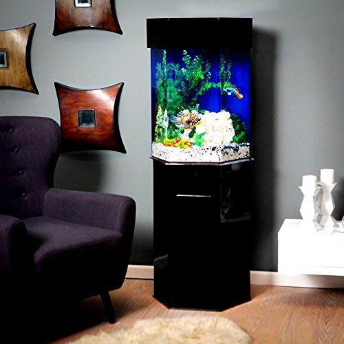 Skrootz Aquarium Hexagon Stand with Canopy Large Size Acrylic Black Color and Modern Style