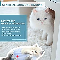 SUNFURA Cat Recovery Suit, Cat Onesie for Cats