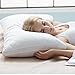 Pillows for Sleeping, Goose Down Alternative Quilted Bed Pillow 2 Pack, FDA Registered, Super Soft Plush Fiber Fill, Adjustable Loft, Relief for Neck Pain, Queen Size by Sable