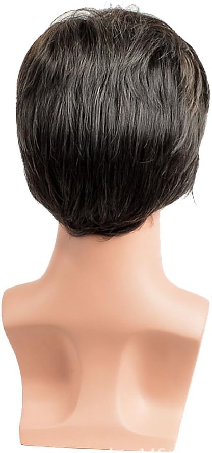 Royalfirst Mens Short Straight Synthetic Hair Wigs Male Father Mature Natural Looking Wig for Middle Aged and Old Men - Image 5