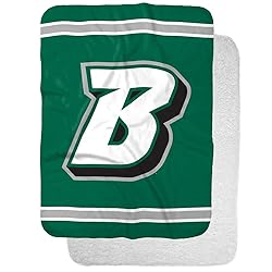 Binghamton University Bearcats Primary Logo Stripes