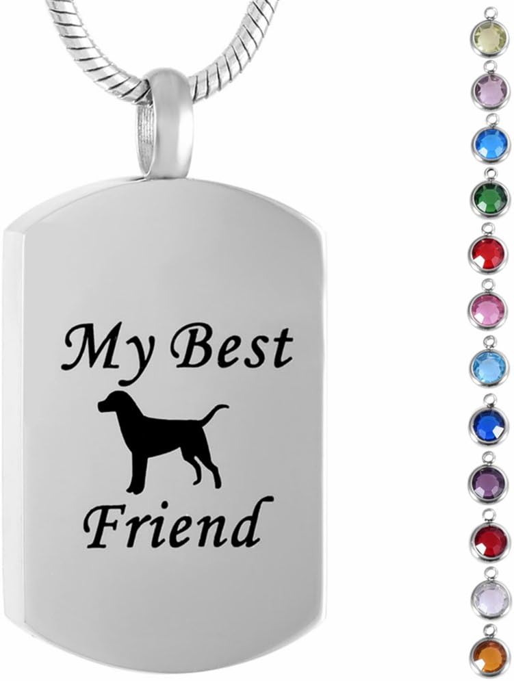 memorial jewelry Birthstone Personalized My Best Frined Pet Cremation Jewelry for Dog Ashes Urn Pendant