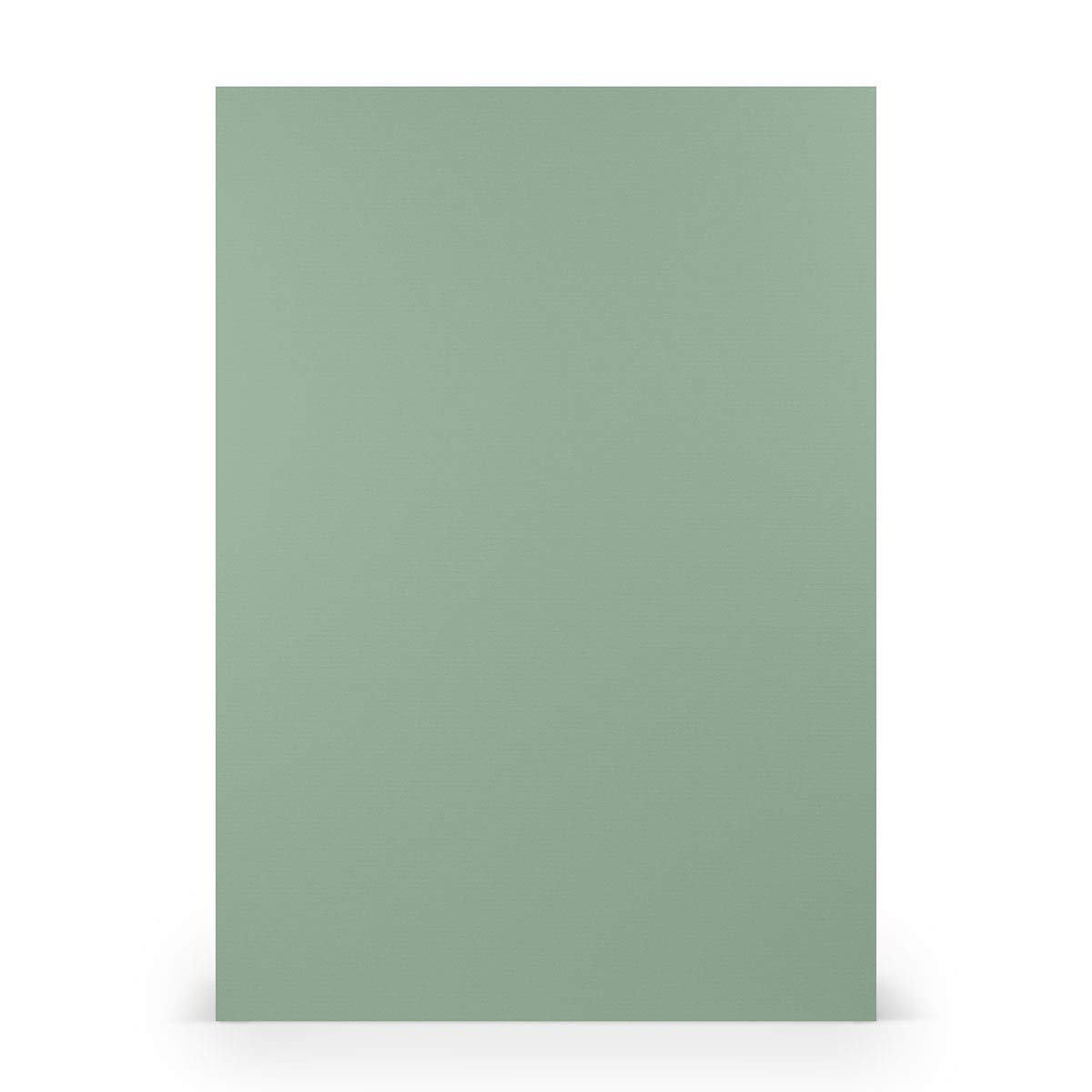 Paperado PAPERADO 50x craft cardboard DIN A4 Eucalyptus ribbed Green 220 g/m² construction cardboard Thick craft paper in 29.7 x 21 cm Painting, crafting perfect craft cardboard