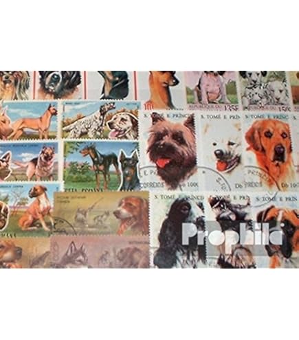 Niger 3803-3806 (complète. Edition.) Neuf Avec Gomme Originale ** MNH