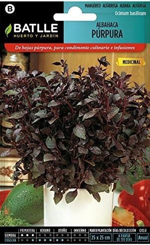Batlle Aromatic Seeds - Basil Purple (2g)